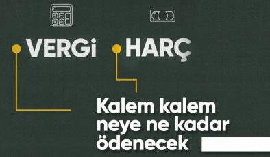 Gelir vergisi tarifesi ile 2024’te uygulanacak vergi ve harç tutarları belli oldu