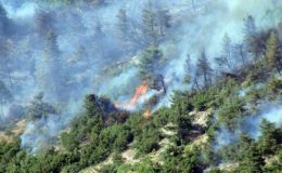 Karadeniz’de kuraklık etkisi! Orman yangınlarında artış tehlikesi