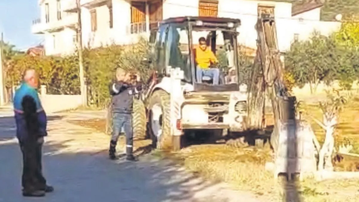 Kişiye özel ağaç katliamı