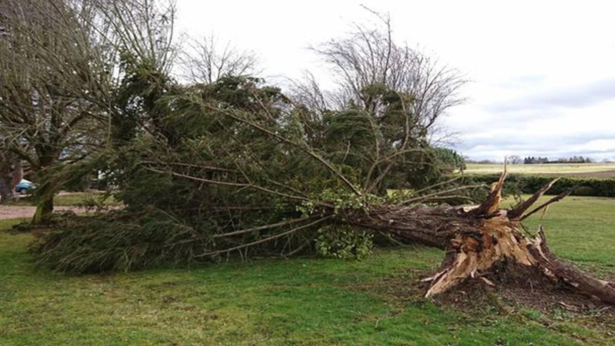 Fransa’da turuncu alarm