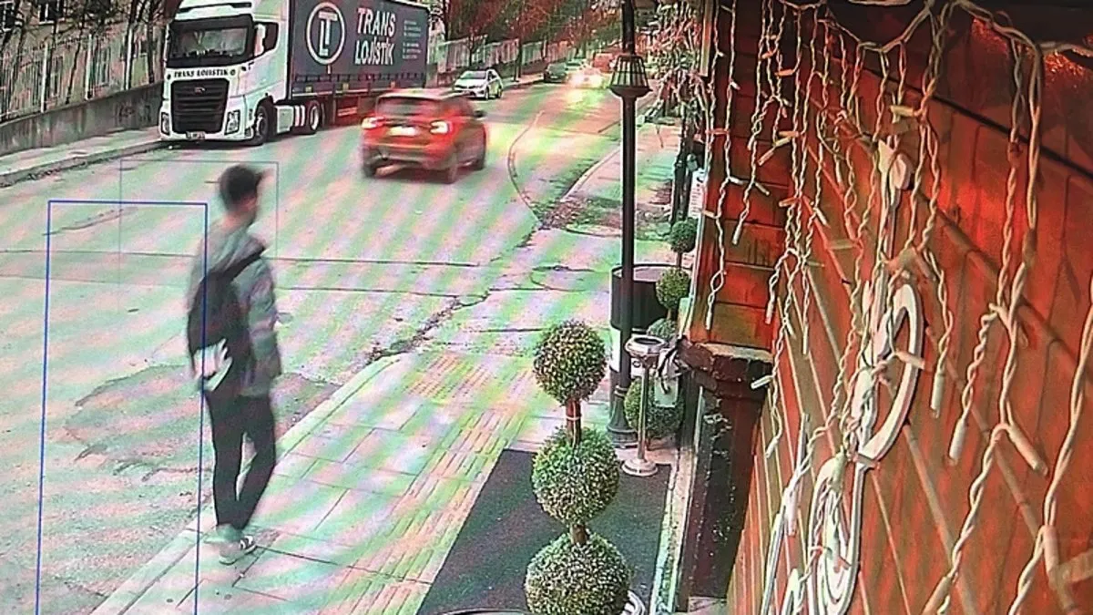 O ilimizde sokak köpeği dehşeti: Tekrar nasıl giderim, bir daha saldılarsa!