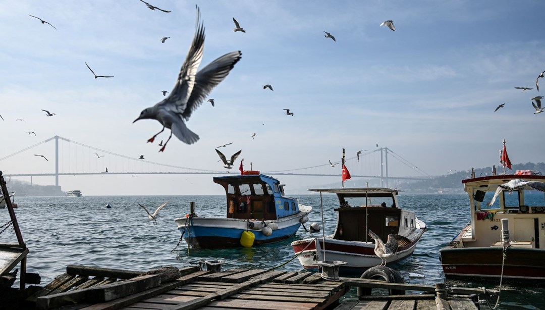 İstanbul’da hava açıyor: Tarih belli oldu, bahar havası geliyor